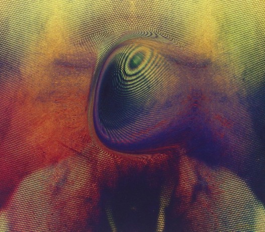 Young Magic: Melt [CD]