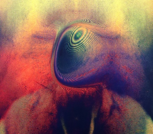 Young Magic: Melt [CD]