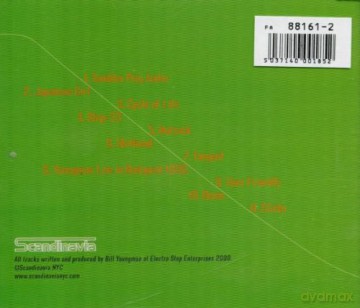 Youngman: Slightly Irregular [CD]