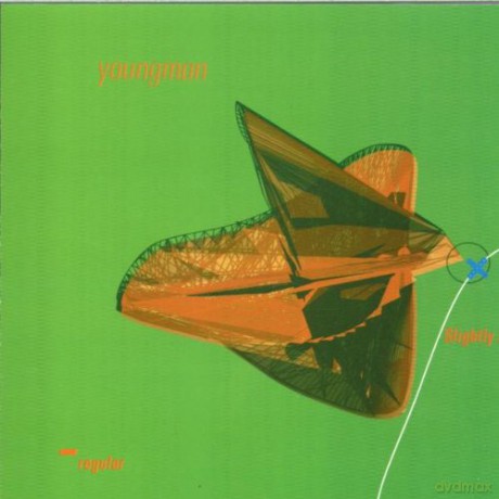 Youngman: Slightly Irregular [CD]
