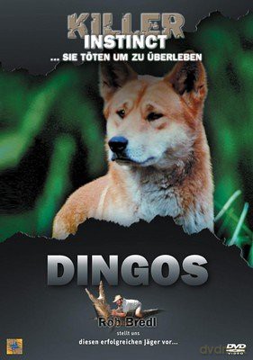 Dingos [DVD]