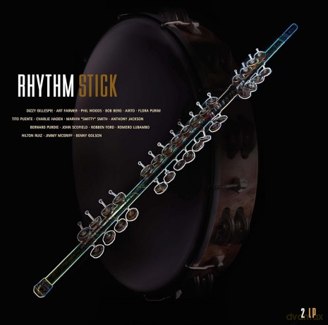 Rhythm Stick [2xWinyl]