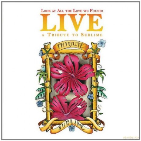 Look At All The Love We Found - Tribute To Sublime [2DVD]