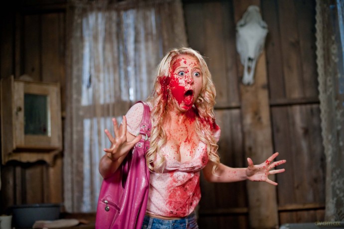 Tucker & Dale Vs Evil [Blu-Ray]