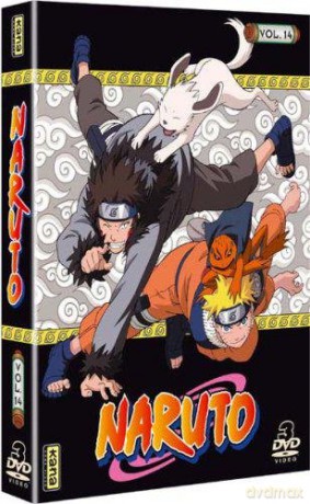 Volume 14 - Episodes 170 A 182 [3DVD]