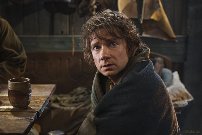 Der Hobbit - Smaugs Einode [DVD]