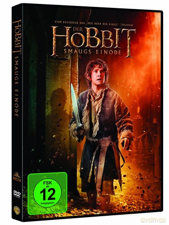 Der Hobbit - Smaugs Einode [DVD]
