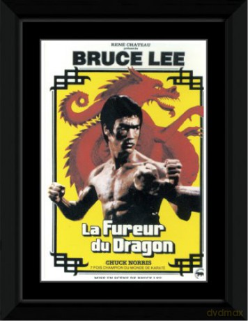 Fight Action [5DVD]