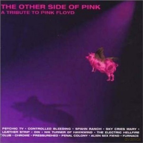 The Other Side Of Pink - A Tribute To Pink Floyd [CD]