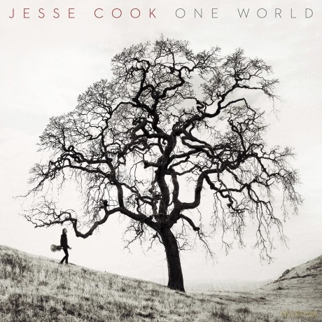 Jesse Cook: One World [CD]