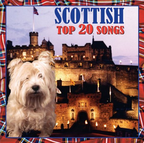 Scottish Top 20 Songs [CD]
