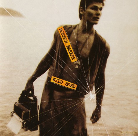 Morten Harket: Wild Seed [CD]