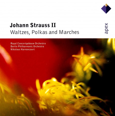 Harnoncourt: Strauss: Walzer Und Polkas [CD]