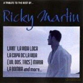 A Tribute To The Best Of Ricky Martin [CD]