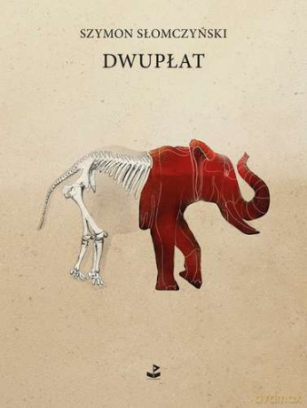 Dwupłat - Szymon Słomczyński [KSIĄŻKA]