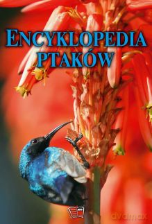 Encyklopedia ptaków (twarda) [KSIĄŻKA]