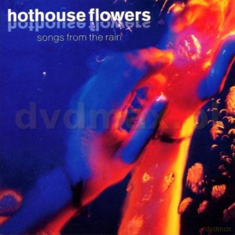 Hothouse Flowers: Songs From The Rain [CD]