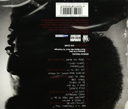 Ice Cube: Raw Footage [CD]