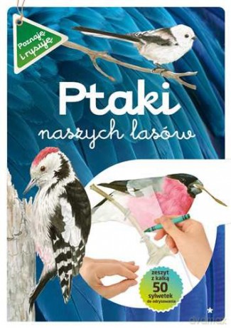 Ptaki naszych lasów część 1 - Katarzyna Kopiec-Sekieta, Grażyna Maternicka [KSIĄŻKA]