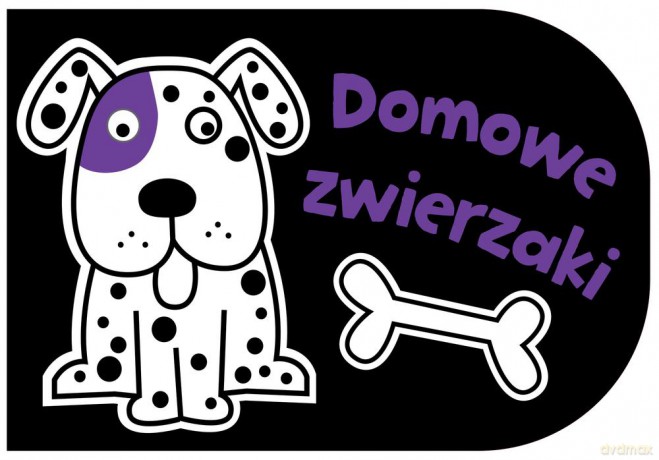 Zwierzaki domowe czarno-białe (twarda) [KSIĄŻKA]