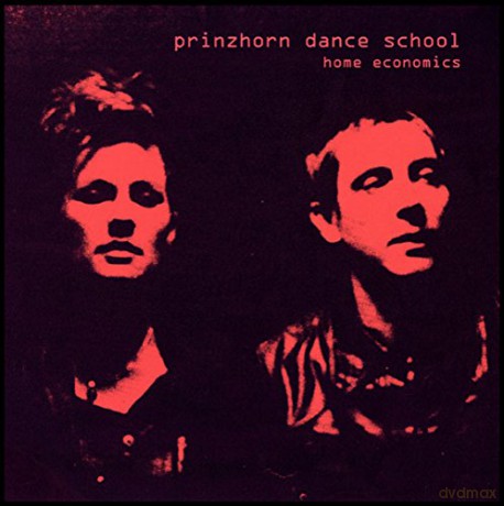 Prinzehorn Dance School: Home Economics [Winyl]