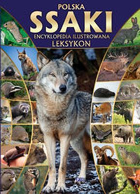 Polska. Ssaki. Ilustrowana encyklopedia. Leksykon (twarda) [KSIĄŻKA]