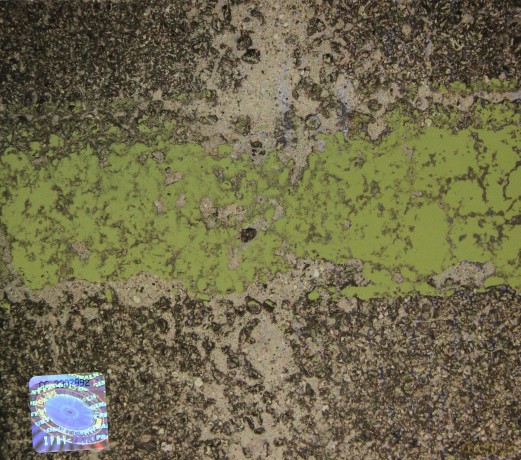 Janusz Mackiewicz Quintet: Frogsville (digipack) [CD]