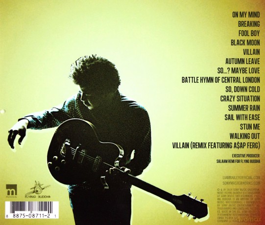 Liam Bailey: Definitely Now [CD]