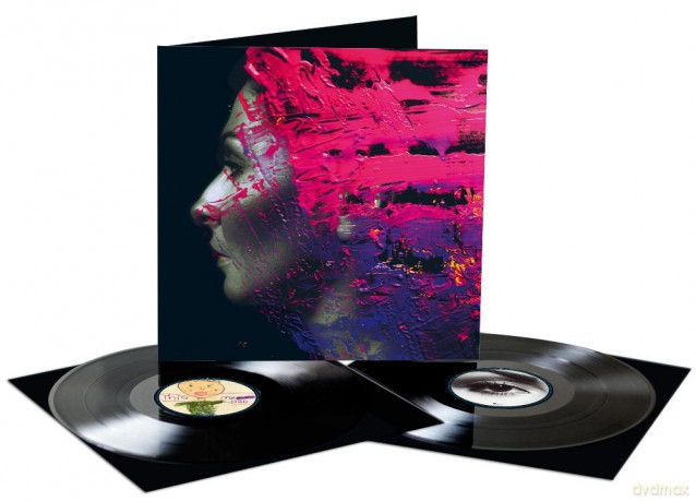 Steven Wilson: Hand Cannot Erase [2xWinyl]