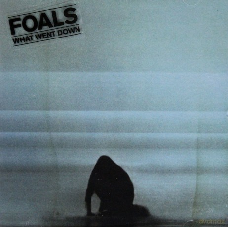 Foals: What Went Down [CD]