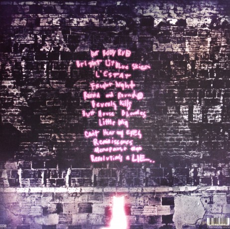 Ariel Pink: Before Today [Winyl]