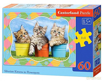 CASTORLAND 60 el. Siberian Kittens in Flowerpots [PUZZLE]