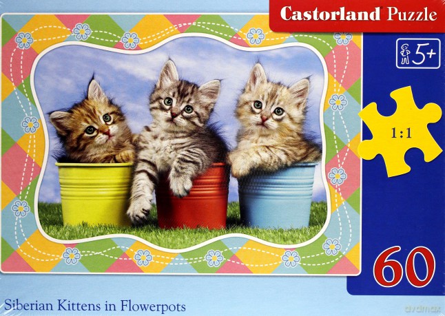 CASTORLAND 60 el. Siberian Kittens in Flowerpots [PUZZLE]