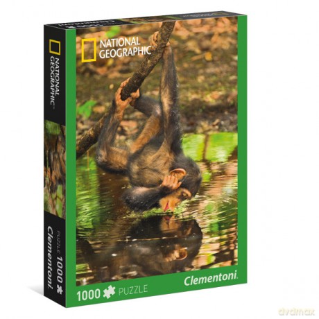 CLEMENTONI 1000 el. National Geographic Szympans [PUZZLE]