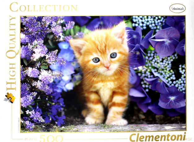 CLEMENTONI 500 el. High Quality Ginger cat [PUZZLE]