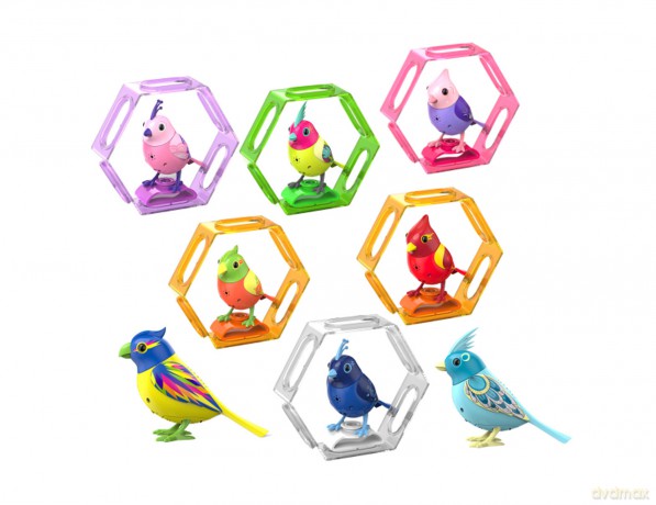 DUMEL DigiBirds Seria 3 Śpiewający ptaszek w ramce