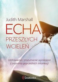 Echa przeszłych wcieleń. Uzdrowienie i zrozumienie [KSIĄŻKA]