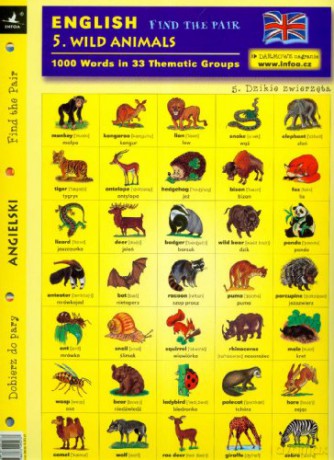 English. Find the pair. Wild animals [KSIĄŻKA]