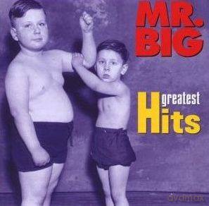 Mr.Big: Greatest Hits [CD]