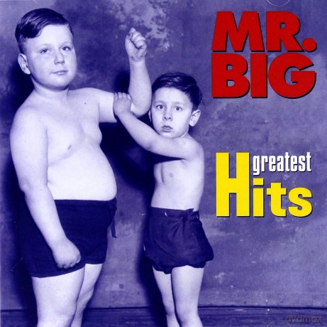 Mr.Big: Greatest Hits [CD]