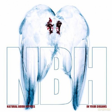 Natural Born Hippies: In Your Dreams [CD]