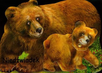 Niedźwiadek [KSIĄŻKA]