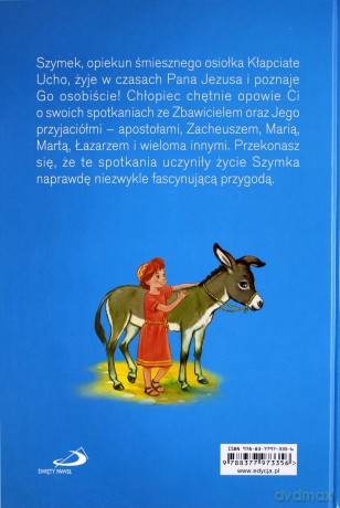 Opowieść biblijna. Na ścieżkach Ewangelii [KSIĄŻKA]
