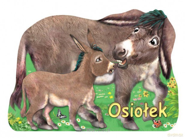Osiołek [KSIĄŻKA]