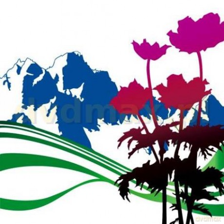 New Order: International [CD]