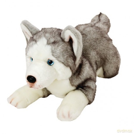 Piesek Husky 35 cm