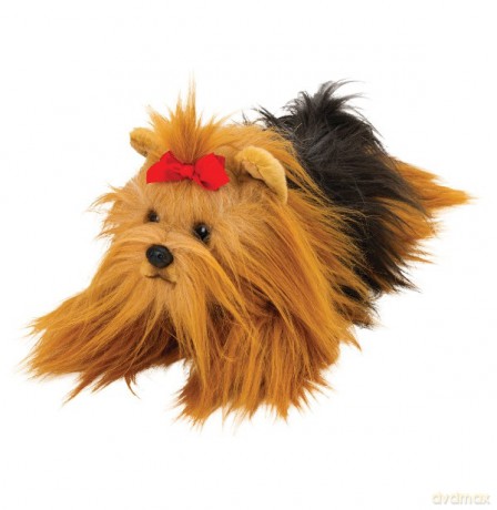 Piesek Yorkshire Terrier 35 cm