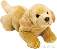 Piesek żółty Labrador 35 cm