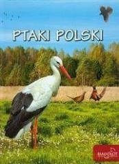 Ptaki Polski [KSIĄŻKA]