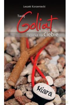 Twój Goliat czeka na ciebie [KSIĄŻKA]